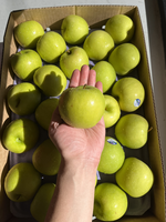 Green Apple, , large