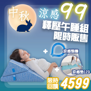 【日本旭川】釋壓午睡組-5in1涼感人體工學美姿靠墊+日本技術 AIRFIT 瞬涼透氣空氣纖維涼感坐墊-銀韻+涼感冰頸圈