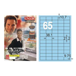 【龍德】LONGDER 三用電腦標籤 A4 65格 21.2*38.1mm淺藍1000張/箱 LD-806-B-B(適用雷射、噴墨、影印), , large