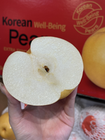 Korean Asian Pear, , large