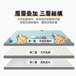 【多利寶寢具】INDIAN 可水洗二件式乳膠凉墊枕套-花色隨機出貨-單人, , large