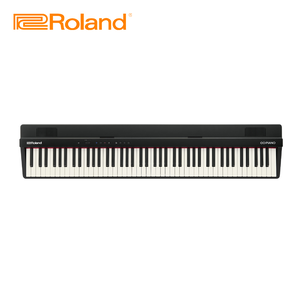 Roland GO-88PX
