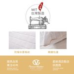 【吉梵尼 范侖鐵諾】台灣製造 石墨烯遠紅外線健康枕 石墨烯枕1入, , large
