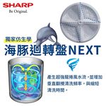 SHARP 13KG Inverter No-Hole Drum Washer ES-ASG13T, , large