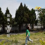 【Treewalker 萊茂】造型風箏 (顏色隨機), , large