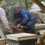 [皇廷] Lychee honey 1800g（CERTIFIED DOCUMENT . TAP）, , large