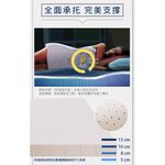 【日本藤田】100%天然乳膠床墊10CM 折疊床墊 學生床墊 乳膠墊 摺疊床墊 泰國乳膠, , large