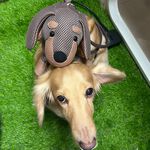 【可愛造型 獨家設計 可機洗 保固】臘腸狗 斜背包 側背包 斜背包女 側背包女 可愛包包 禮物, , large