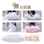 [ Pure Sleep ] Hotel-Quality Down-Alternative Pillow, , large