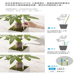 SUSTEE Soil Moisture Meter &ndash; Made in Japan (Smart Sensor, No Battery Required) Black &ndash; L, , large