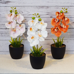 ARTIFICIAL PLANT W/BLACK POT-WHITE, , large