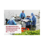 【台灣好漁】七星鱸魚下巴 (500g±5% / 包)/友善生態養殖/肉質Q彈/無土味, , large