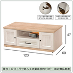 【唯熙傢俱】查理白橡色4尺大茶几, , large