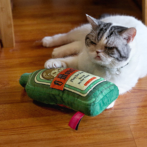 Catnip Bottle Toy