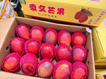 Irwin Mango, , large