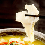 sea ​​bass, , large