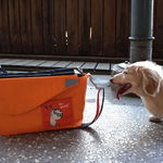 Eco-friendly Crossbody bag & tote bag Two-in-one, Reversible yoyo bag (Tangerine), , large
