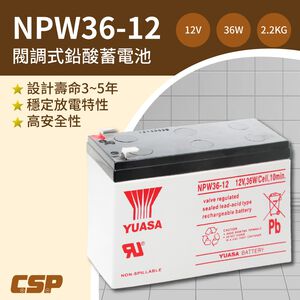 【YUASA】NPW36-12 (2pcs) 12V36W valve regulated sealed lead-acid battery ~ same size as REW45-12 High discharge rate UPS Uninterruptible power Lighting system Medical equipment