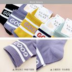 (多款)韓系長襪 中筒襪【旺達棉品】 GK3001, , large
