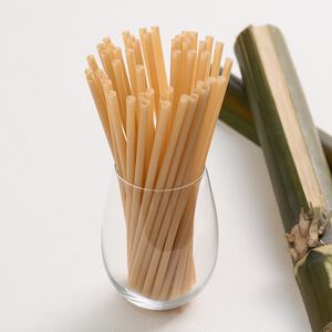 【100%植】6mm 斜口 平口甘蔗吸管  環保吸管  環保標章認證吸管100入