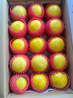 Tamarillo (Golden Fruit), , large
