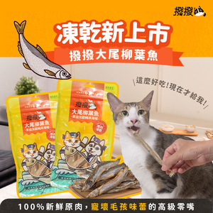 【撥撥】大尾柳葉魚-來自北歐純淨海域，貓狗適用原肉凍乾｜每包40g