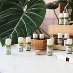 Lavender Oil, , large