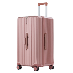 26/30 inch luggage