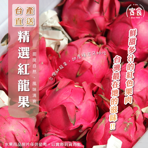 【寅食3 a.m.】台產精選紅龍果450g*6入家庭自用箱