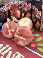 Floral Basket White Peach, , large