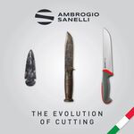 蓋瑞廚物【SANELLI 義大利製 全不鏽鋼鋸骨刀 45cm】 鋸骨專用 牛骨 豬骨 手動骨頭鋸刀 鋸骨刀, , large