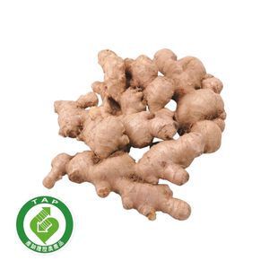 TAP Ginger Root