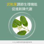 【FJ豐傑生醫】專利苦瓜胜肽+武靴葉30顆/袋-嚴選台灣花蓮山苦瓜·苦瓜胜肽，鉻鋅維持醣類正常新陳代謝, , large