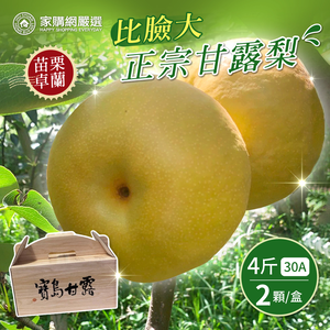 [Home Shopping Network Strictly Selected] Bigger than the face 30A authentic Ganlu pear 4 pounds (2 pieces/box)
