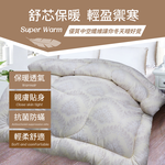大馬仕革舒柔抗菌中空纖維被, , large