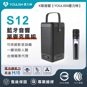 YOULISN S12 Portable Bluetooth Speaker-Single Microphone