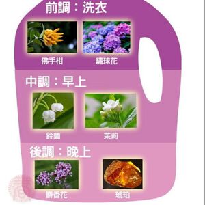 【衣桔棒】香水洗衣凝露 補充包1500g 香水洗衣精 手洗精 中性洗衣精 貼身衣物清潔