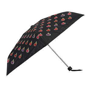 dual purpose umbrella