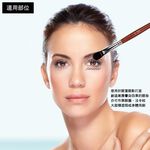 【Galatea葛拉蒂】 紅木系列 大圓眼影刷 / 大遮瑕刷R5BF, , large