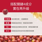 【FJ豐傑生醫】甘氨酸亞鐵-60顆/袋(優質鐵來源ｘ養顏美容), , large