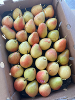 Pear, , large