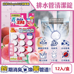 [日日好物]日本Kobayashi小林製藥-洗淨丸排水管道免刷洗除垢淨味清潔錠12入/盒(多款可選), , large