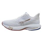 Mizuno Rider 男 慢跑鞋 運動 休閒 路跑 透氣 避震 穩定 舒適 美津濃 白金 [J1GC245501], , large