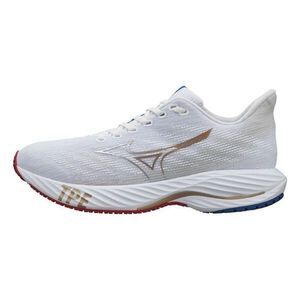 Mizuno Rider 男 慢跑鞋 運動 休閒 路跑 透氣 避震 穩定 舒適 美津濃 白金 [J1GC245501]