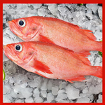 【吾家有貓-海鮮屋 】深海野生紅條 約450克重 年菜必備, , large