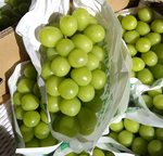 Yamanashi, Japan (Shine Muscat Grapes), , large