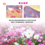日本製【コスモ】長門簾《富士山秋天波斯菊》, , large