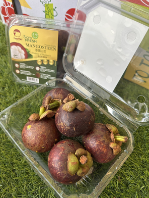 Mangosteen