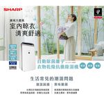 SHARP 夏普 18公升 一級 自動除菌離子衣物乾燥抗黴除濕機 DW-K18HT-S 星耀銀, , large