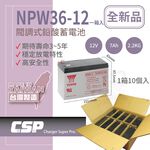 Group purchase [YUASA] NPW36-12 (10 pieces/box) Lead-acid battery 12V36W UPS Uninterruptible power system Baby stroller Emergency lighting system Medical equipment power, , large